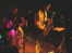 850-24kl.jpg (1228 Byte)