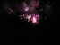 PIC1b13kl.jpg (922 Byte)